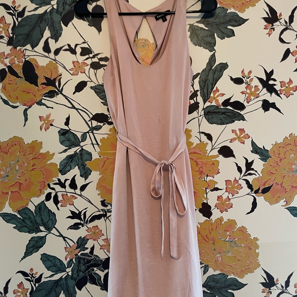 Express Blush Pink High-Low Dress